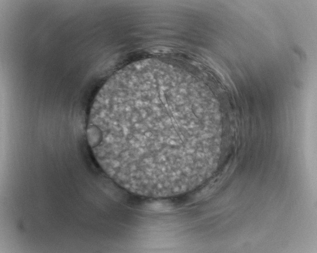 X0000116590561201001071236