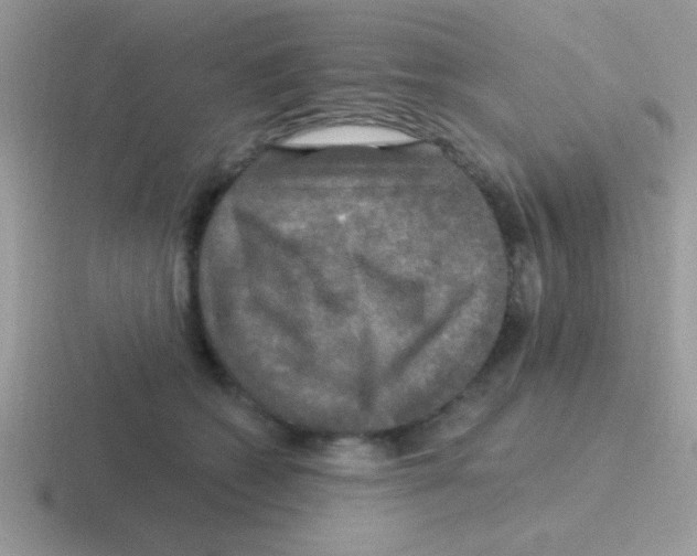 X0000116590562201001071236