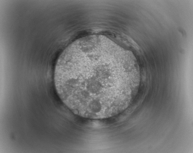 X0000116590565201001071236