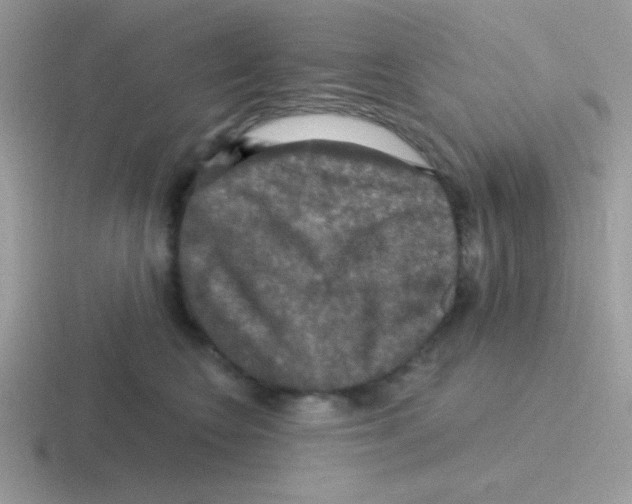 X0000116590566201001071236