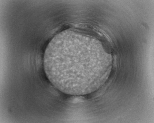 X0000116590569201001071236