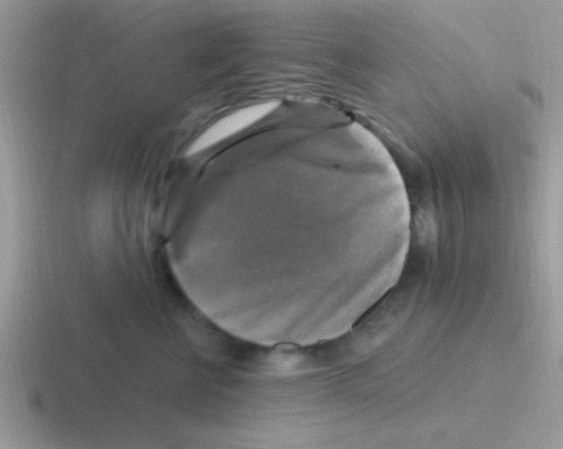 X0000116590570201001071236