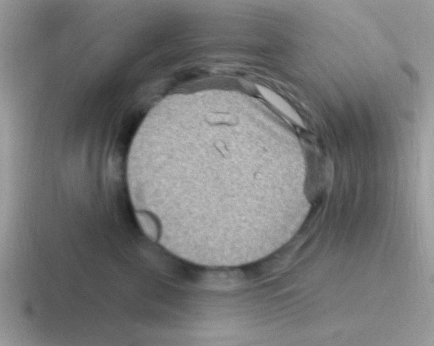 X0000116590571201001071236