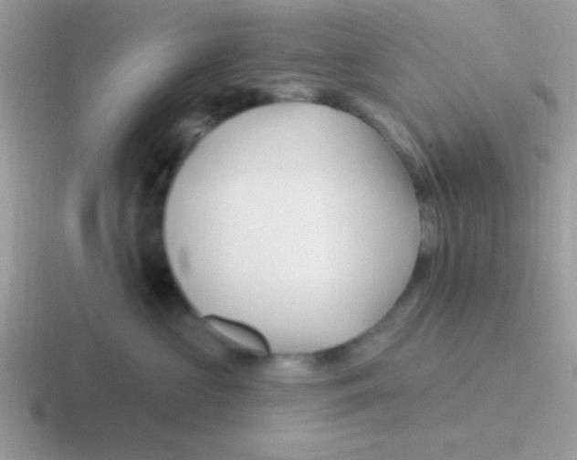 X0000116590573201001071236