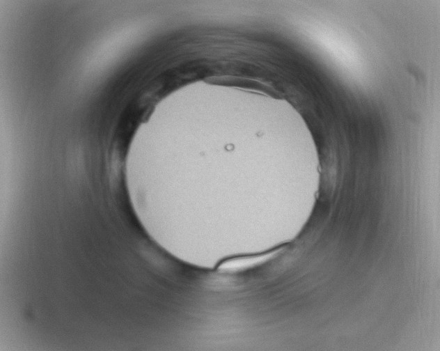 X0000116590574201001071236