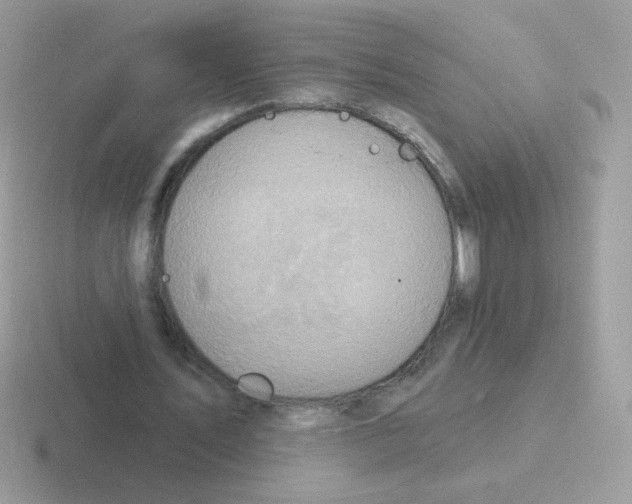 X0000116590579201001071235