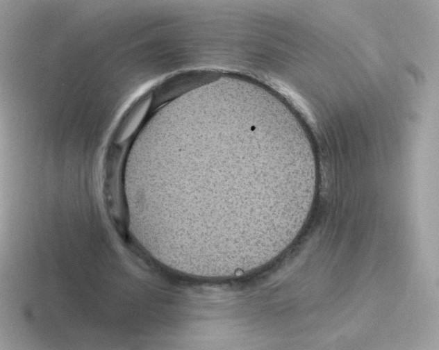 X0000116590580201001071235