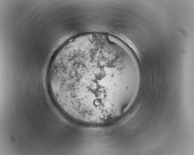 X0000116590581201001071235