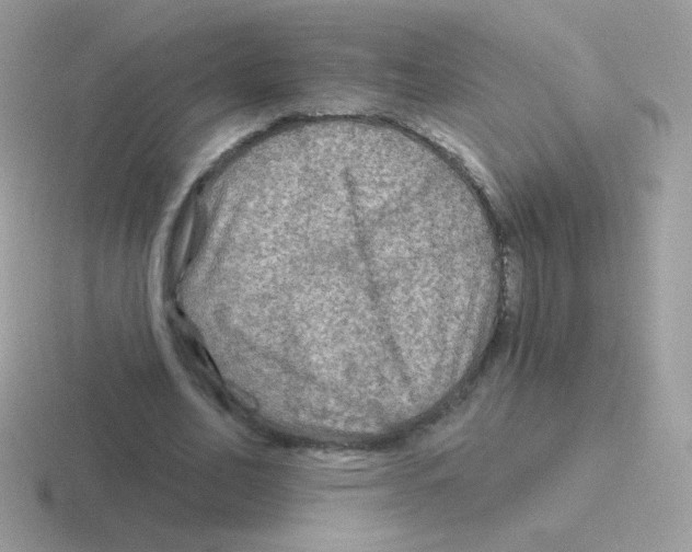 X0000116590582201001071235