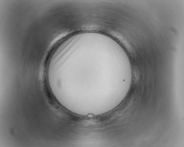 X0000116590583201001071235