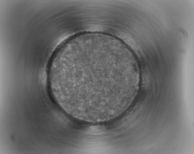 X0000116590584201001071235