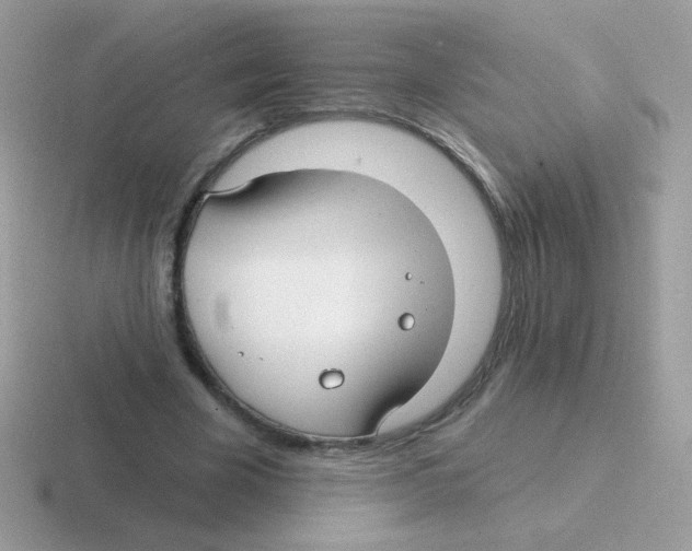 X0000116590585201001071235