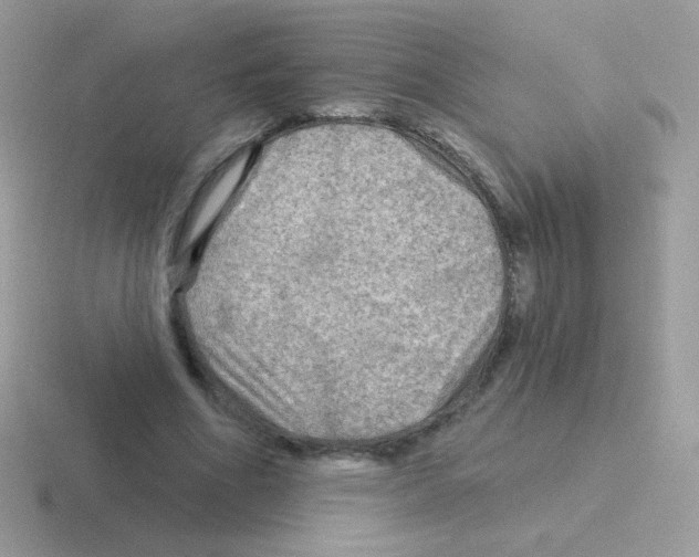 X0000116590586201001071235