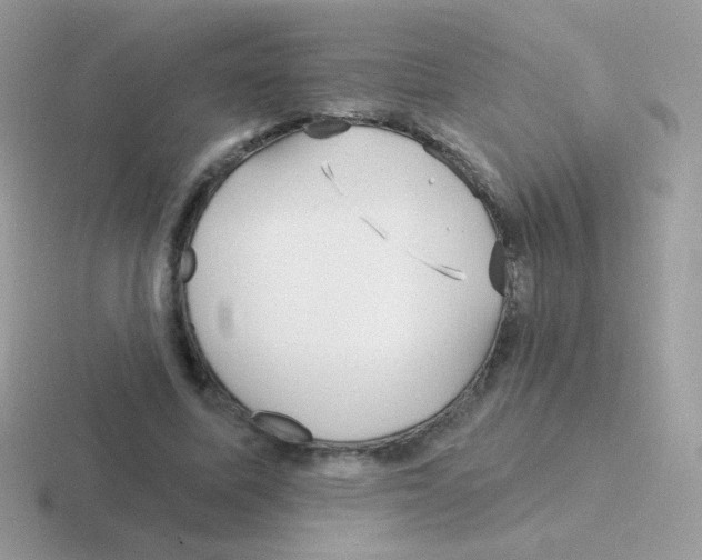 X0000116590587201001071235