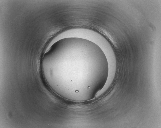 X0000116590589201001071235