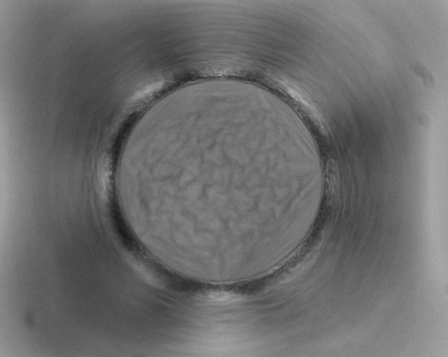 X0000116590590201001071235