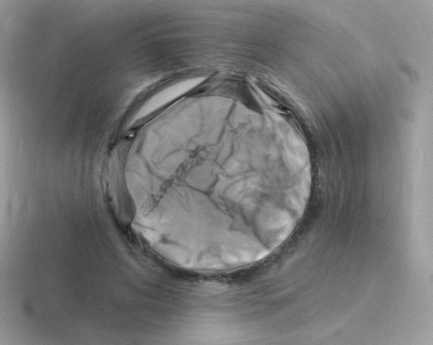 X0000116590592201001071235