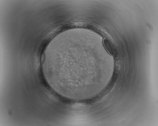 X0000116590593201001071235