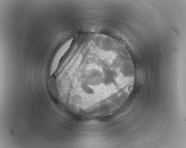 X0000116590594201001071235