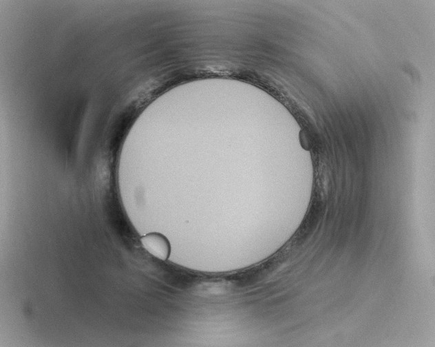 X0000116590595201001071235