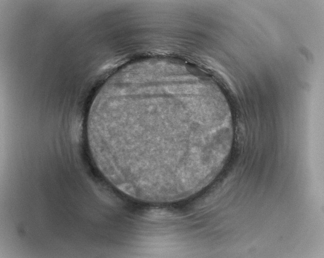 X0000116590596201001071235