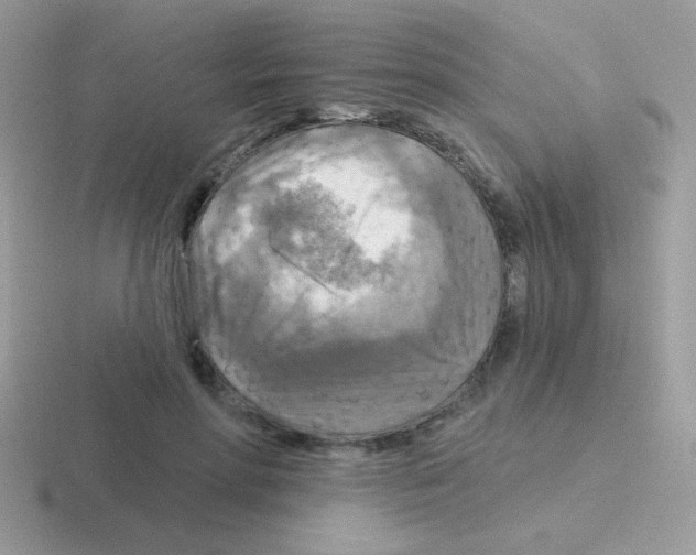 X0000116590598201001071235