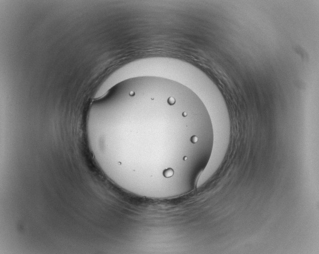 X0000116590599201001071235