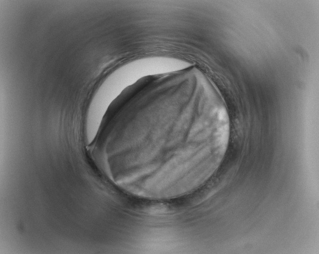 X0000116590600201001071235