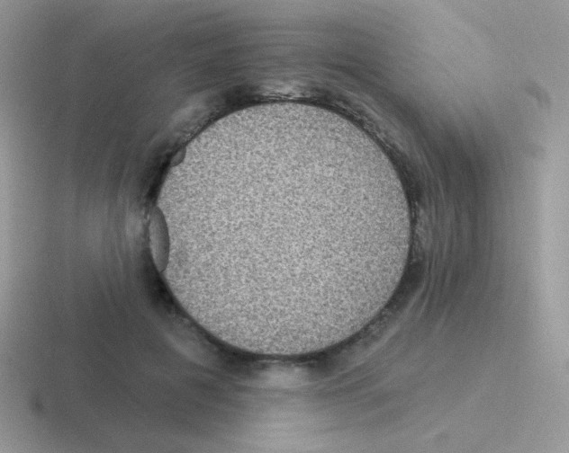 X0000116590601201001071235