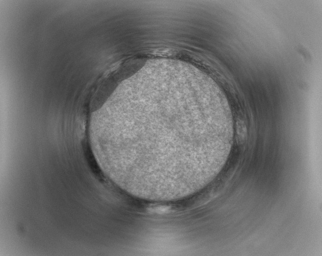 X0000116590602201001071235