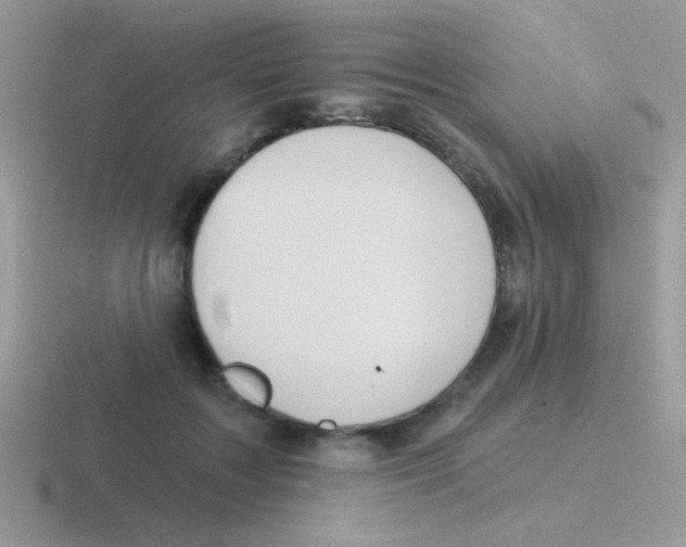 X0000116590603201001071235