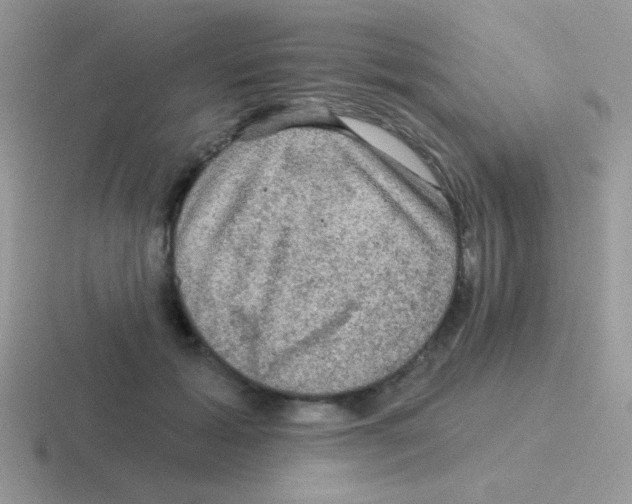 X0000116590605201001071235