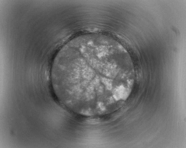 X0000116590606201001071235