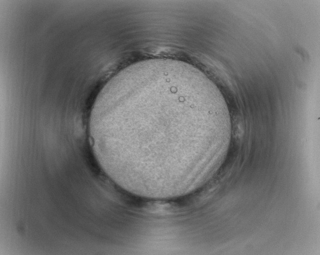 X0000116590607201001071235