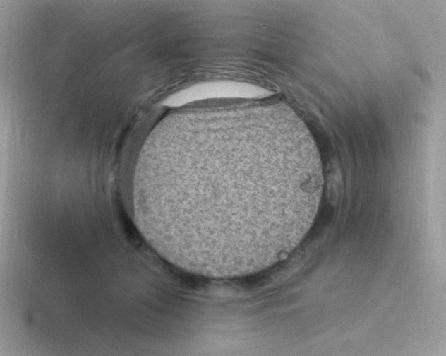 X0000116590608201001071235