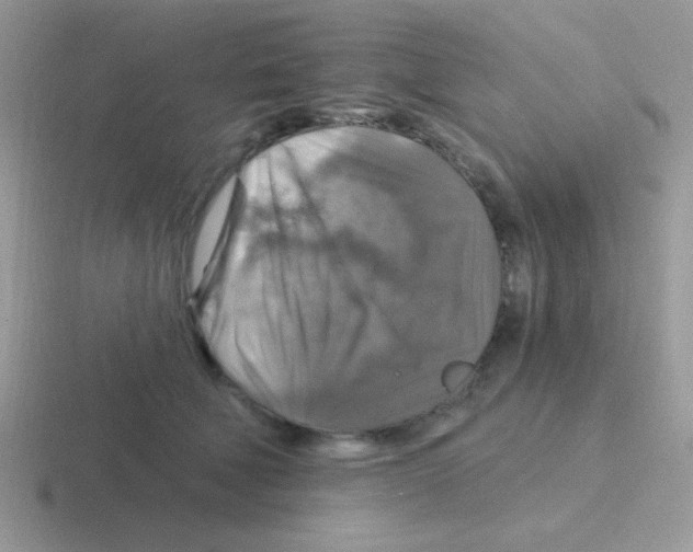 X0000116590610201001071235