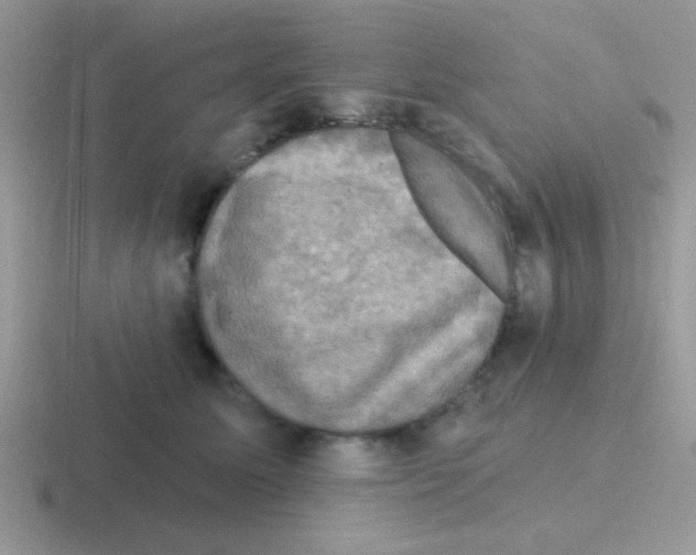 X0000116590611201001071235