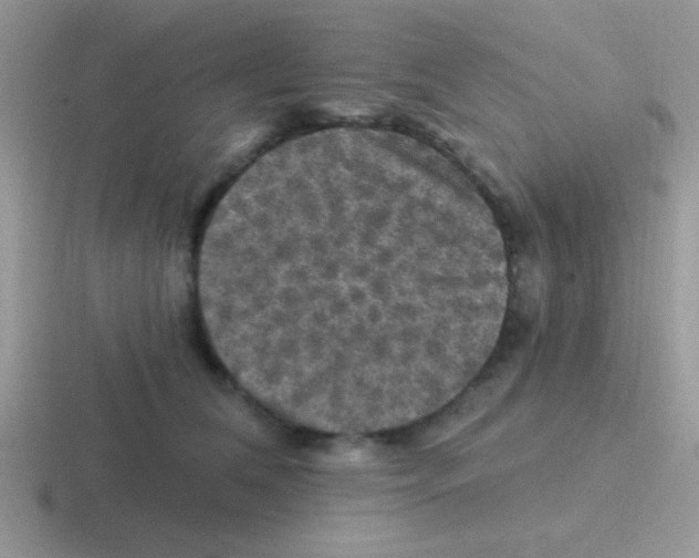 X0000116590612201001071235