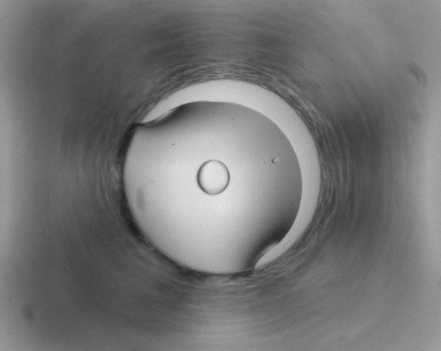 X0000116590613201001071235