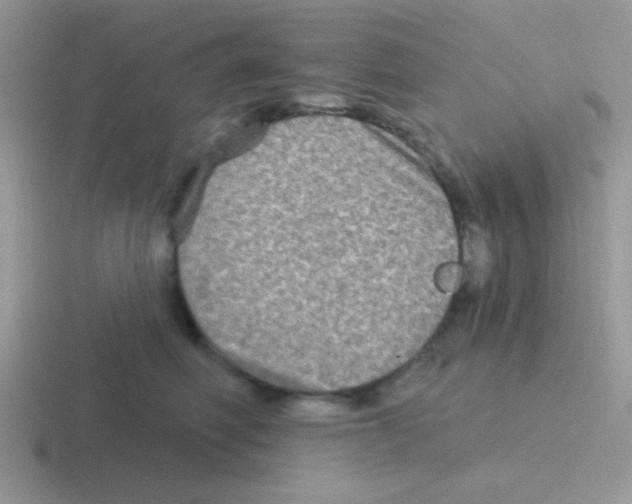 X0000116590614201001071235