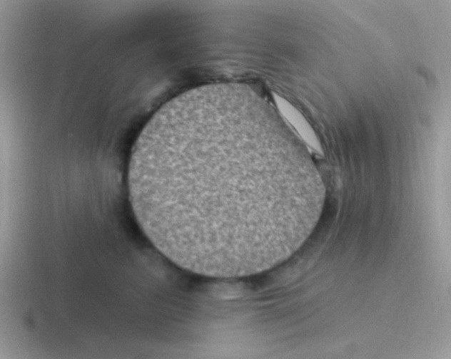 X0000116590615201001071235