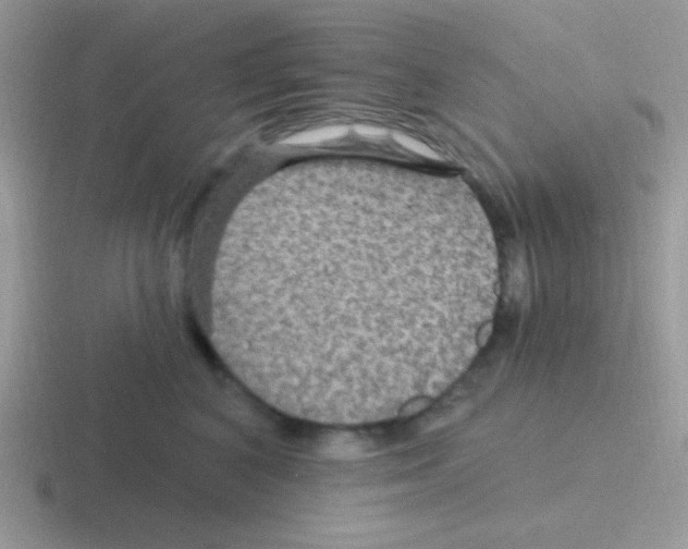 X0000116590616201001071235