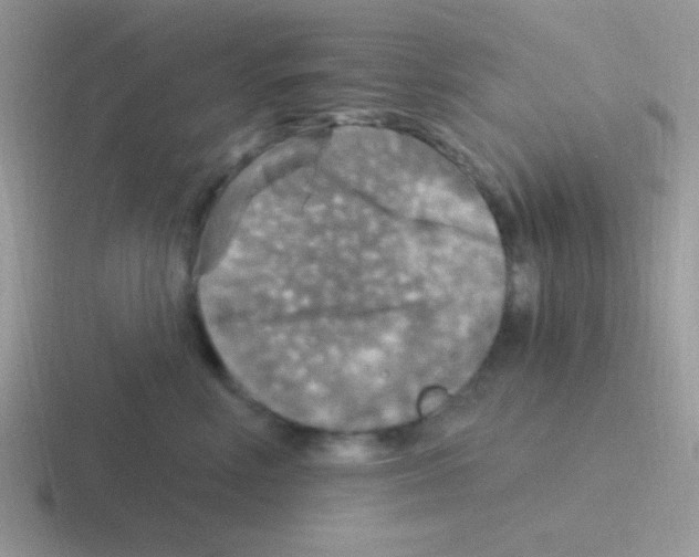 X0000116590618201001071235