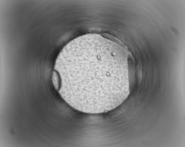 X0000116590619201001071235