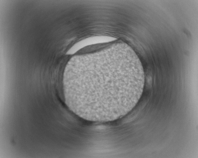 X0000116590620201001071235