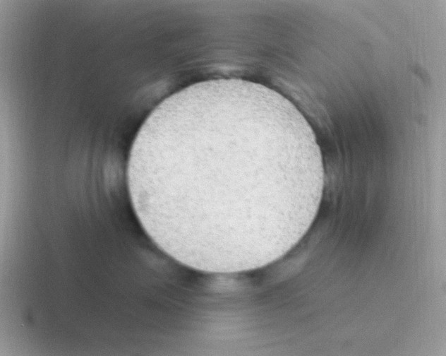 X0000116590623201001071235