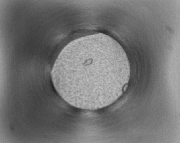 X0000116590624201001071235