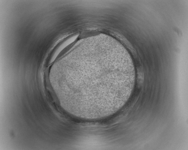 X0000116590626201001071234