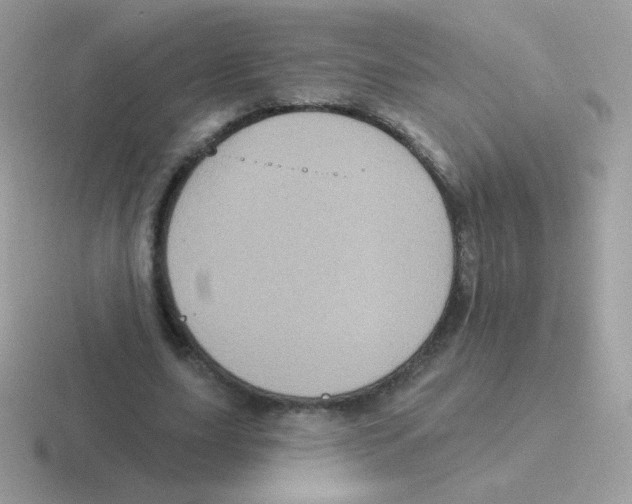 X0000116590631201001071234