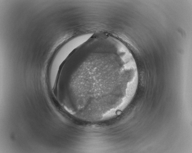 X0000116590634201001071234